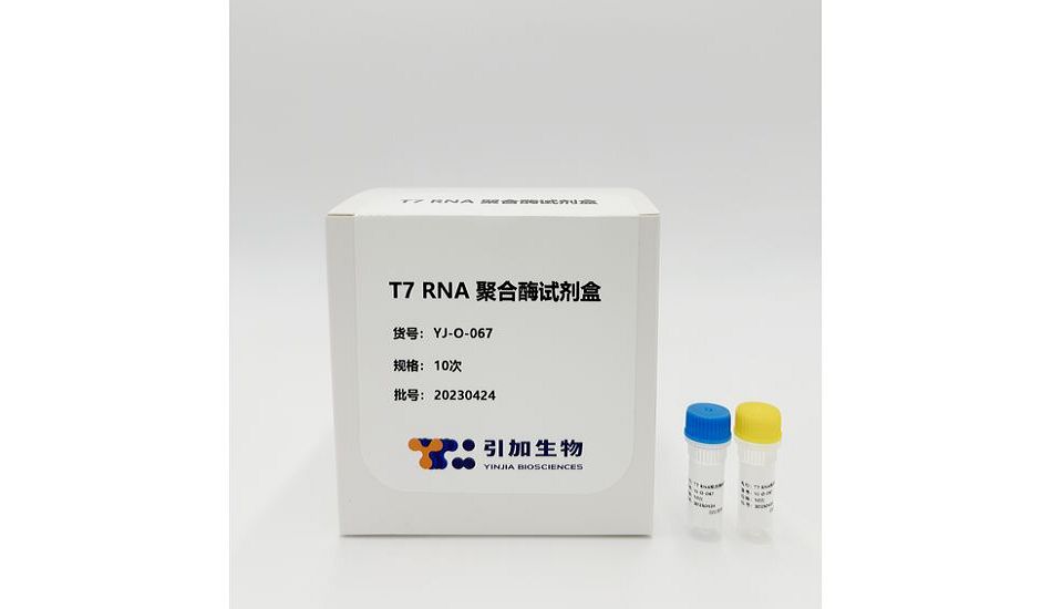 T7 RNA聚合酶试剂盒