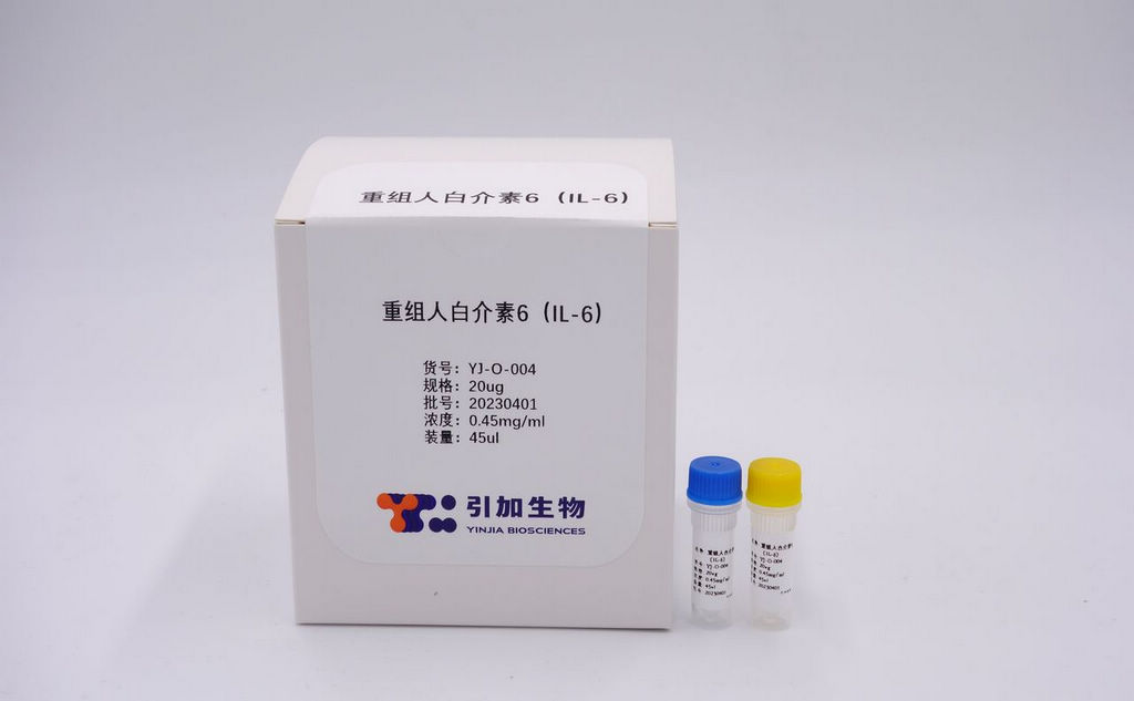 重组人白细胞介素6（IL-6）