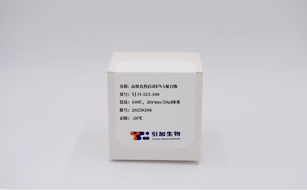 高保真热启动DNA聚合酶