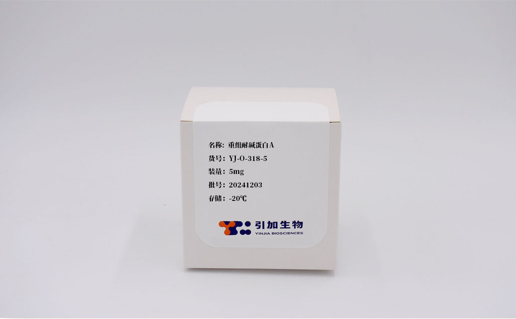 重组耐碱蛋白A