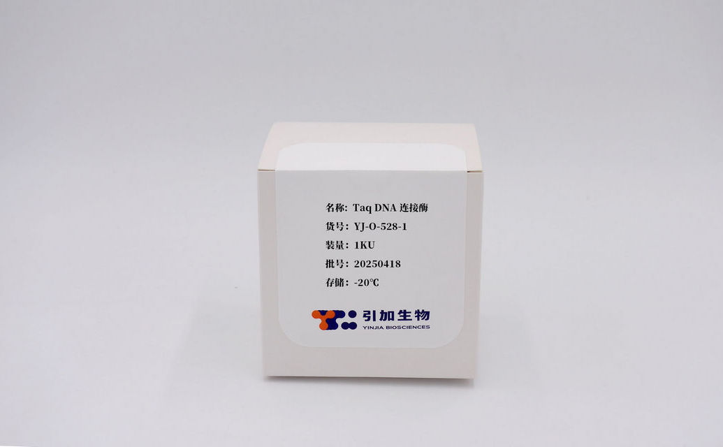 Taq DNA连接酶