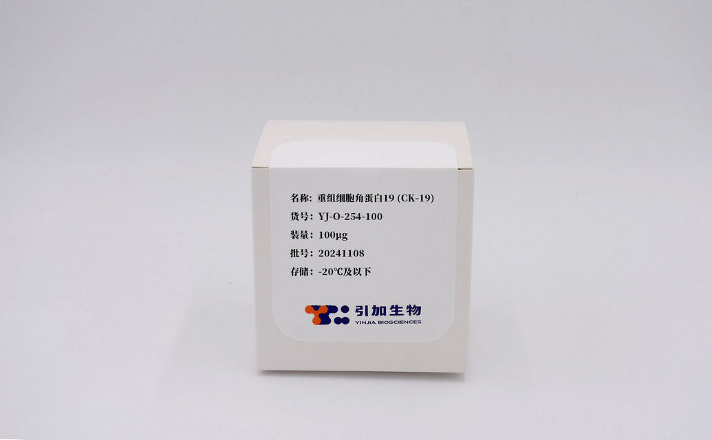 重组细胞角蛋白19 (CK-19)