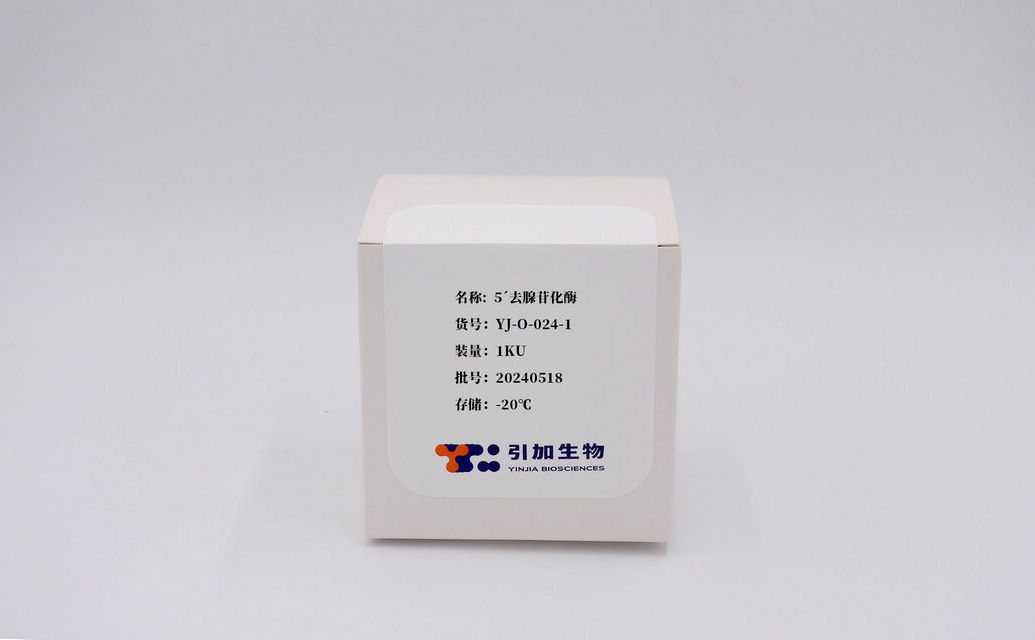 5´去腺苷化酶