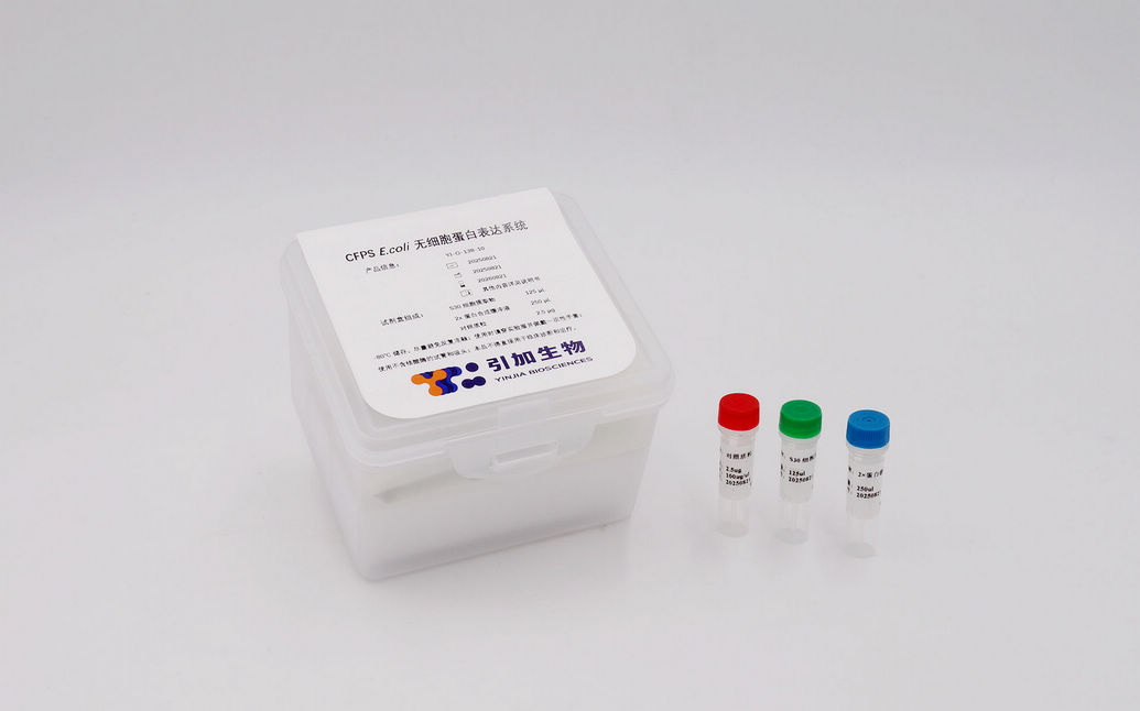 CFPS E.coli 无细胞蛋白表达系统