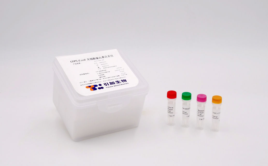 CFPS E.coli 无细胞蛋白表达系统