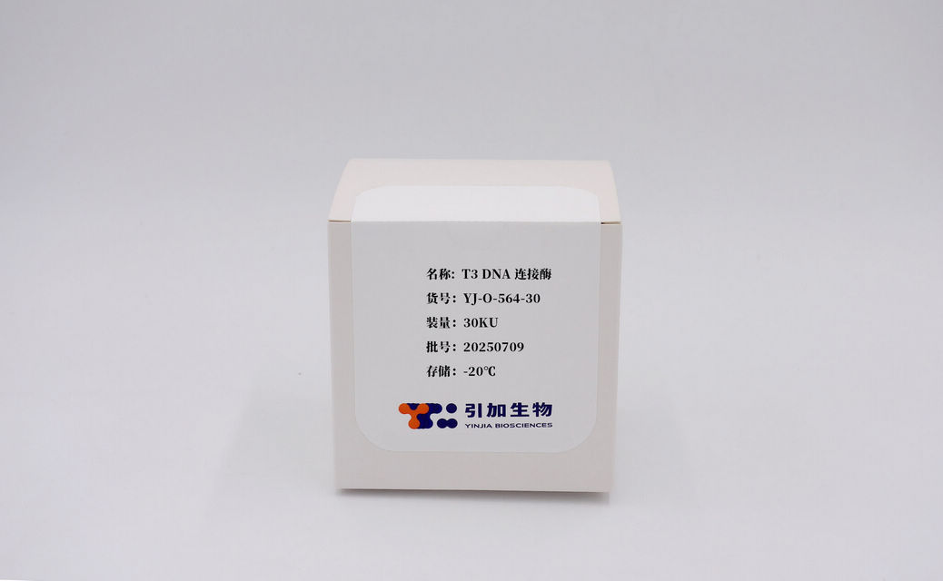 T3 DNA连接酶