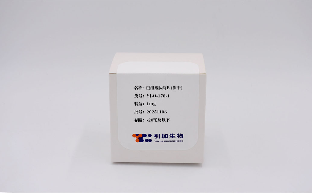 重组羧肽酶B (冻干)