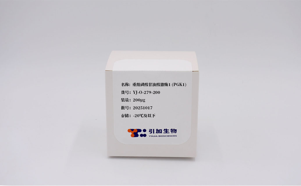 重组磷酸甘油酸激酶1 (PGK1)