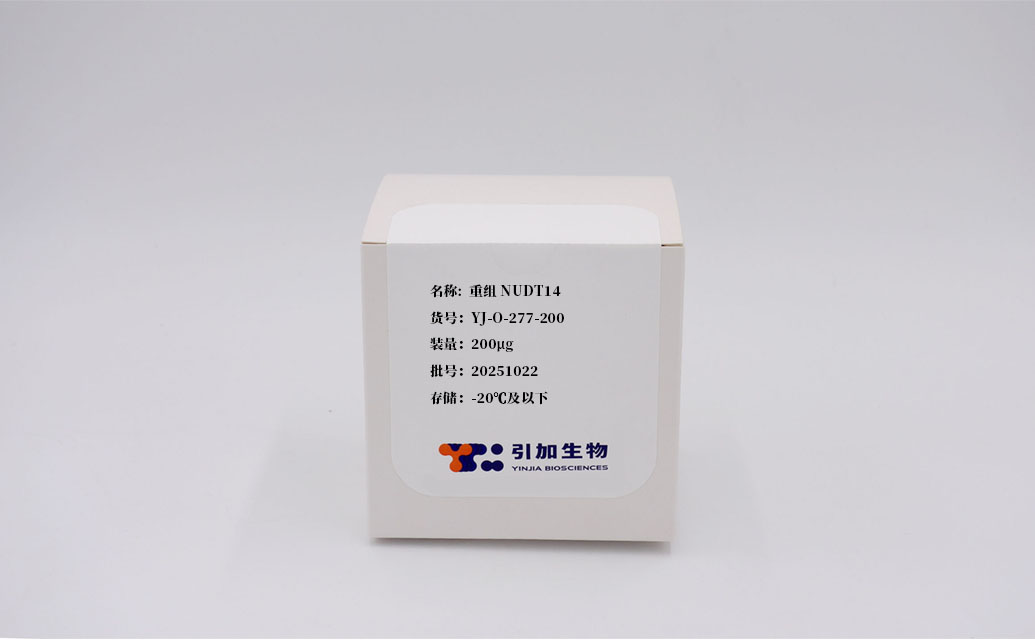 重组NUDT14